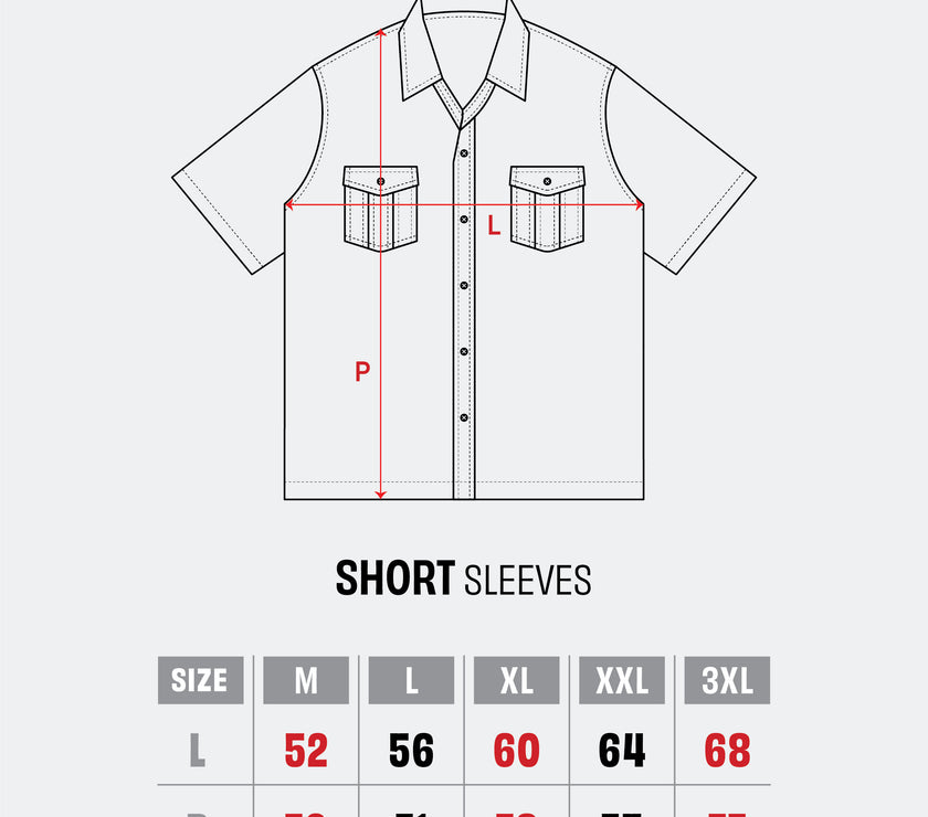 BASIC WORKSHIRT SERIES - Workshirt Basic Regular